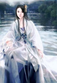 无敌战王叶城柳昭晴
