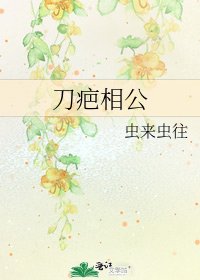 刀疤相公